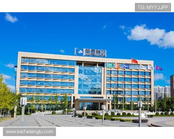 访问k8集团官网了解企业合作与加盟政策，开启共赢发展新篇章